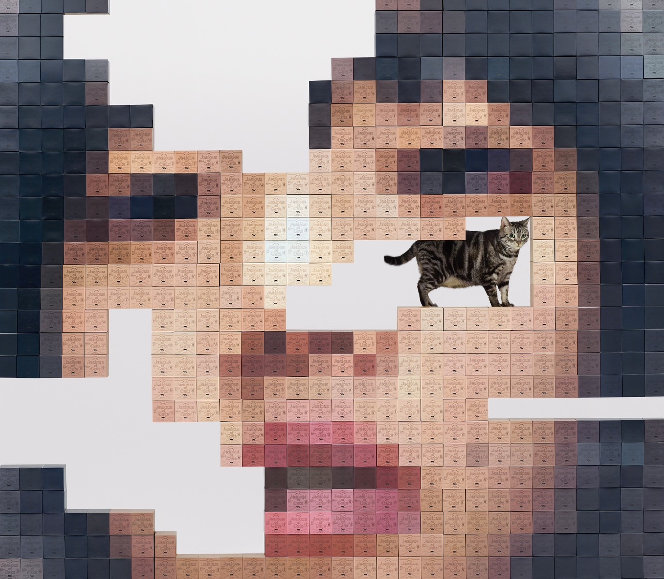 新品未開封　あいみょん　猫にジェラシーCD初回限定版　物で釣るナップサック AIM STORE にて5th ALBUM「猫にジェラシー」ご予約スタート！｜あい